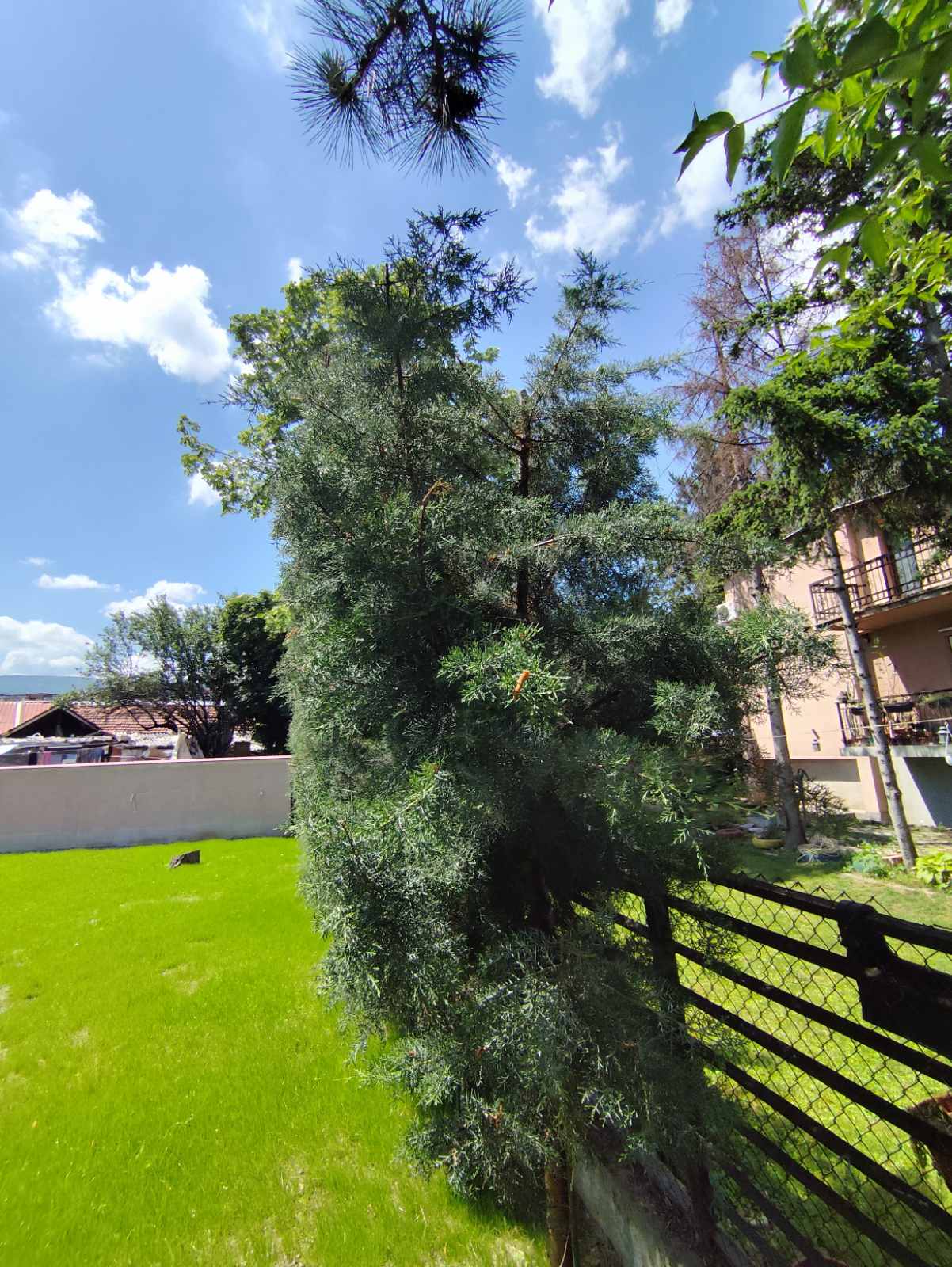 Portfolio image 44