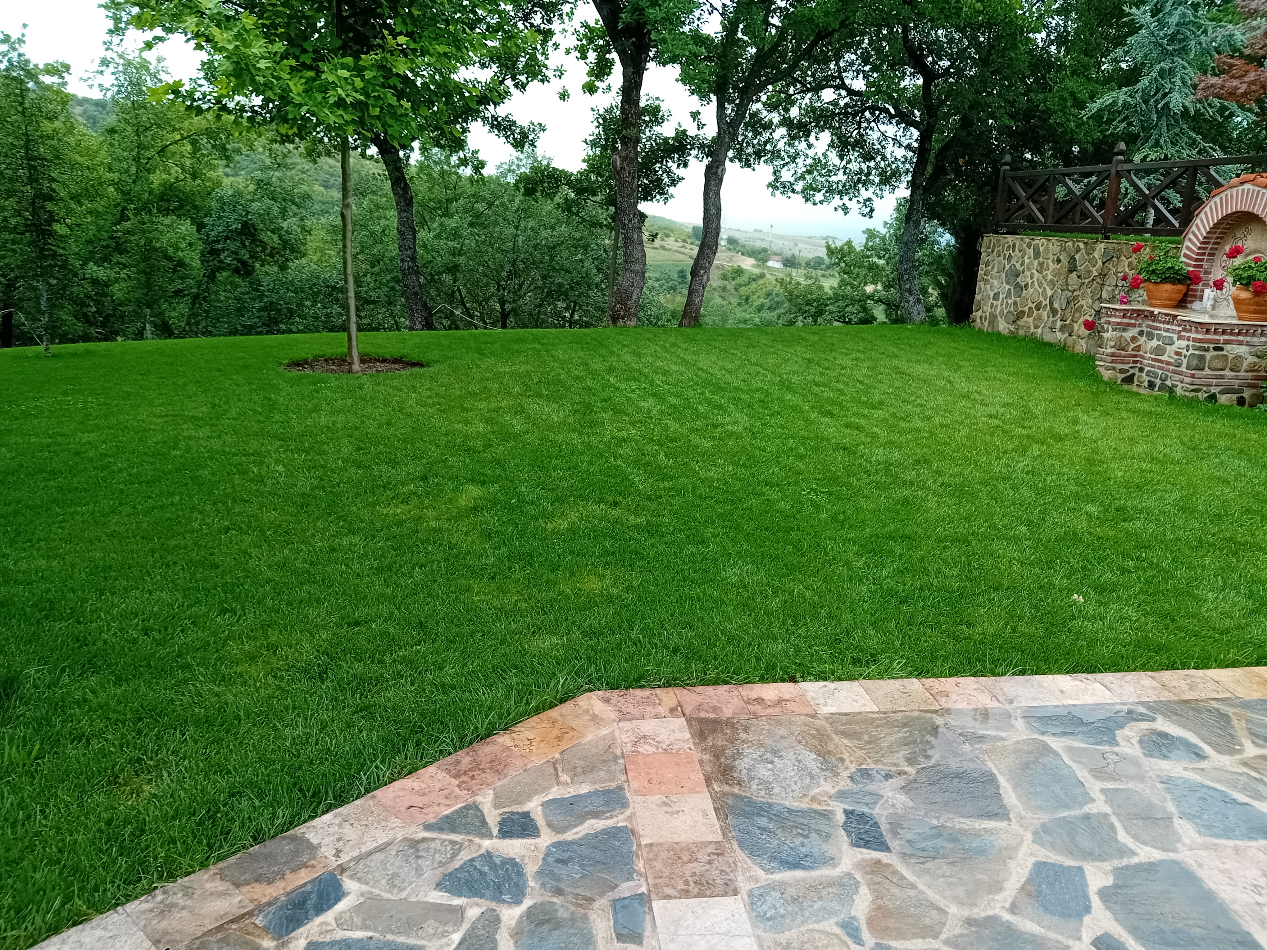 Portfolio image 27