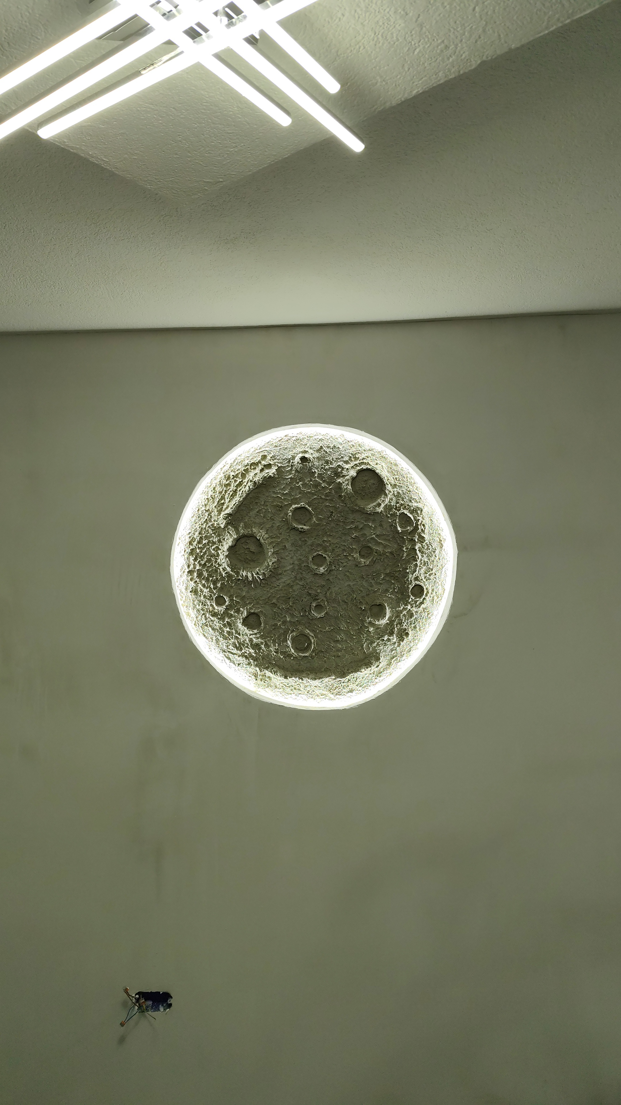 Portfolio image 4