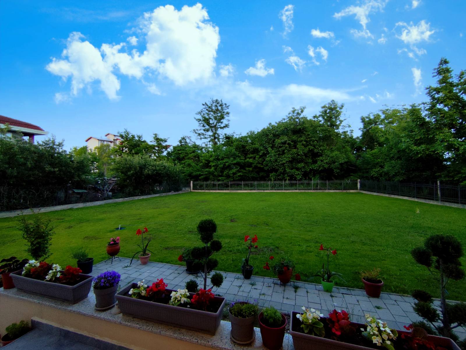 Portfolio image 33