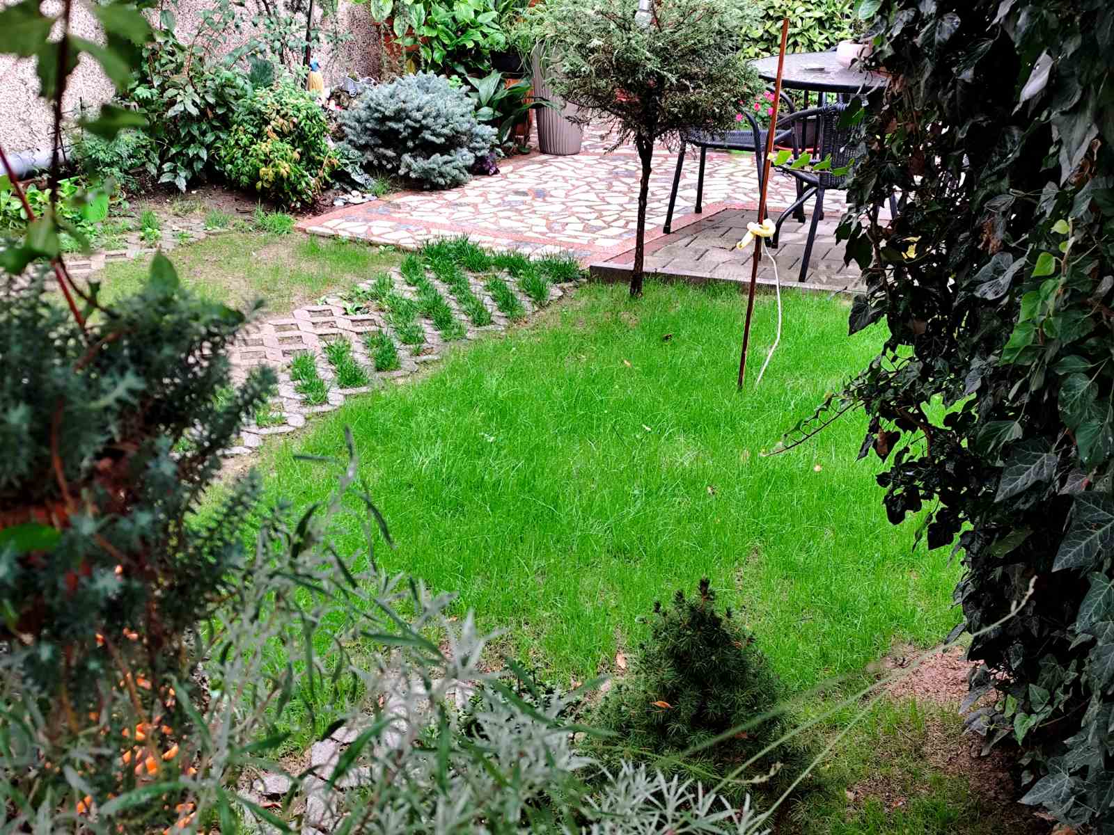 Portfolio image 5