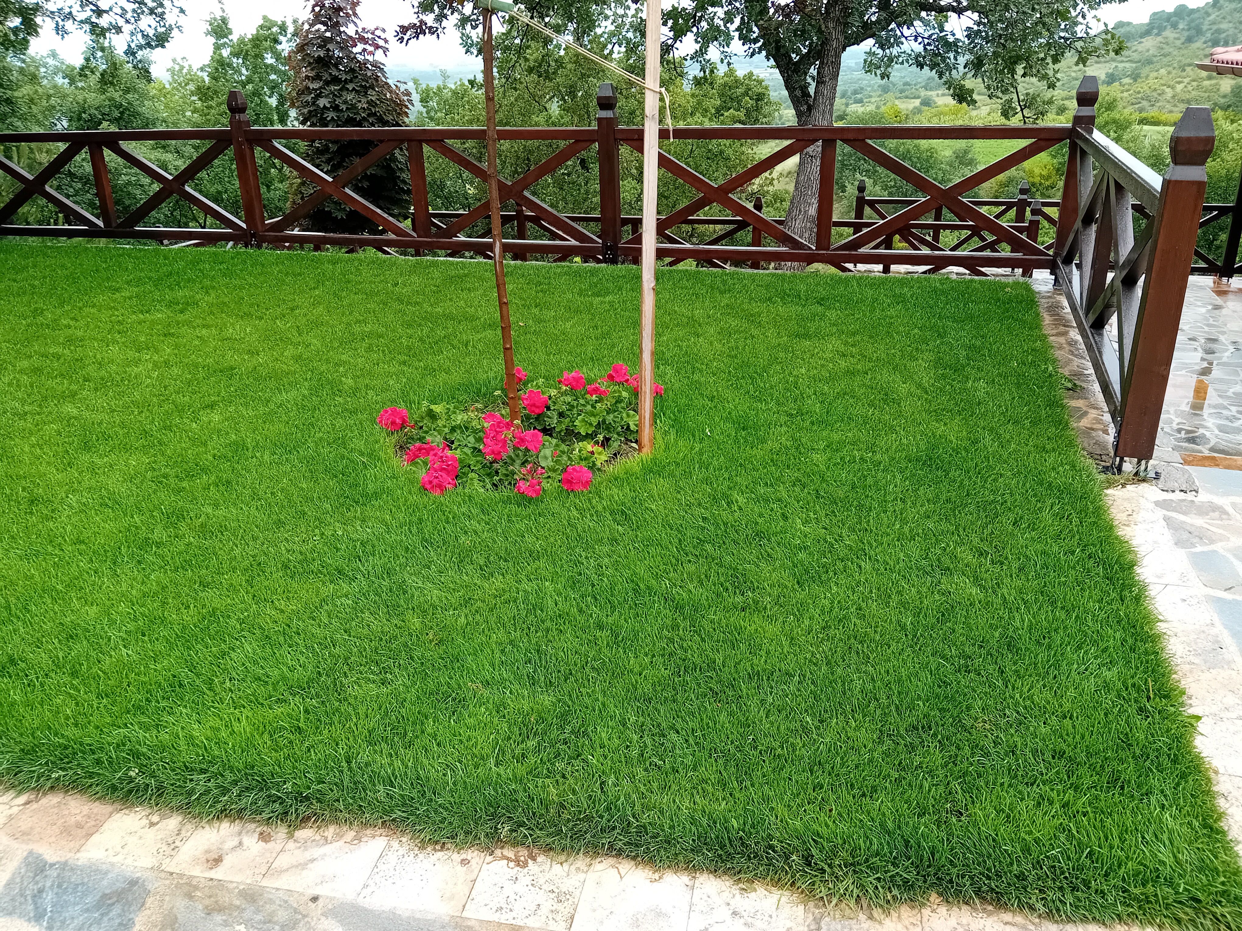 Portfolio image 26