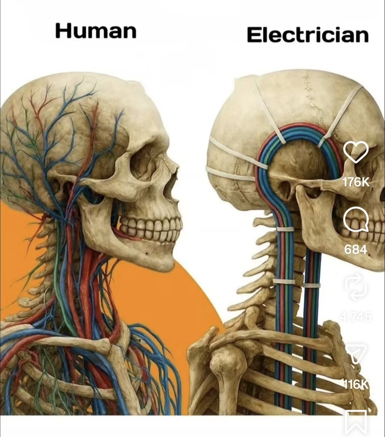 Doctor Electric
